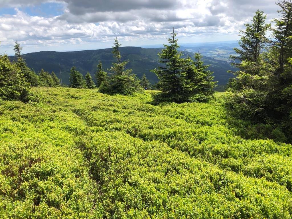 Klimatyczny Dom Kopaczowka Przytulna Miejscowka Z Kominkiem, Sauna I Ogrodem U Podnoza Gor Stolowych Радкув Екстер'єр фото