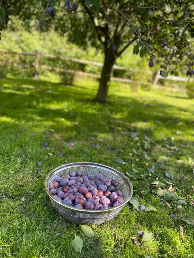 Klimatyczny Dom Kopaczowka Przytulna Miejscowka Z Kominkiem, Sauna I Ogrodem U Podnoza Gor Stolowych Радкув Екстер'єр фото